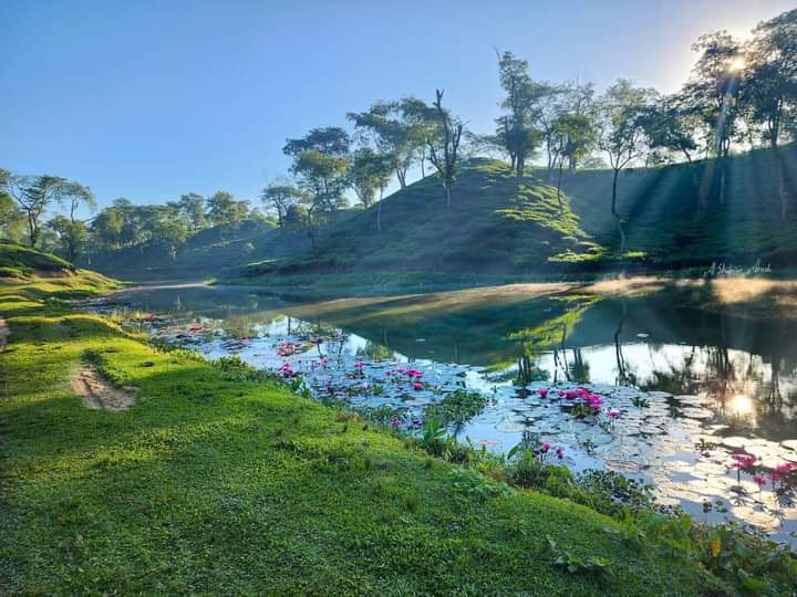 FB_IMG_1731495477046