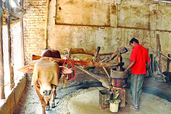 image_downloader_1743579546558