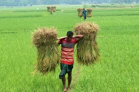 image_downloader_1746683424807